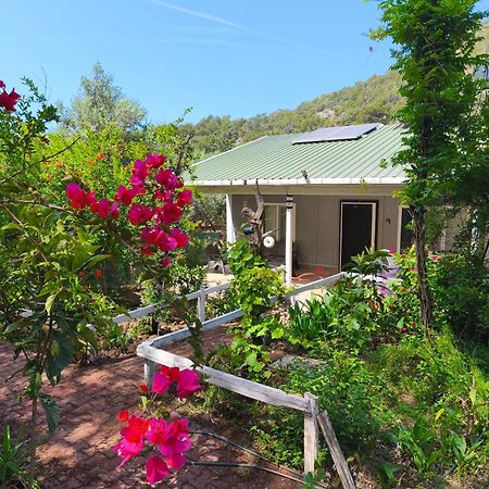 Gelidonia Fenerium Holiday Home Анталия Екстериор снимка
