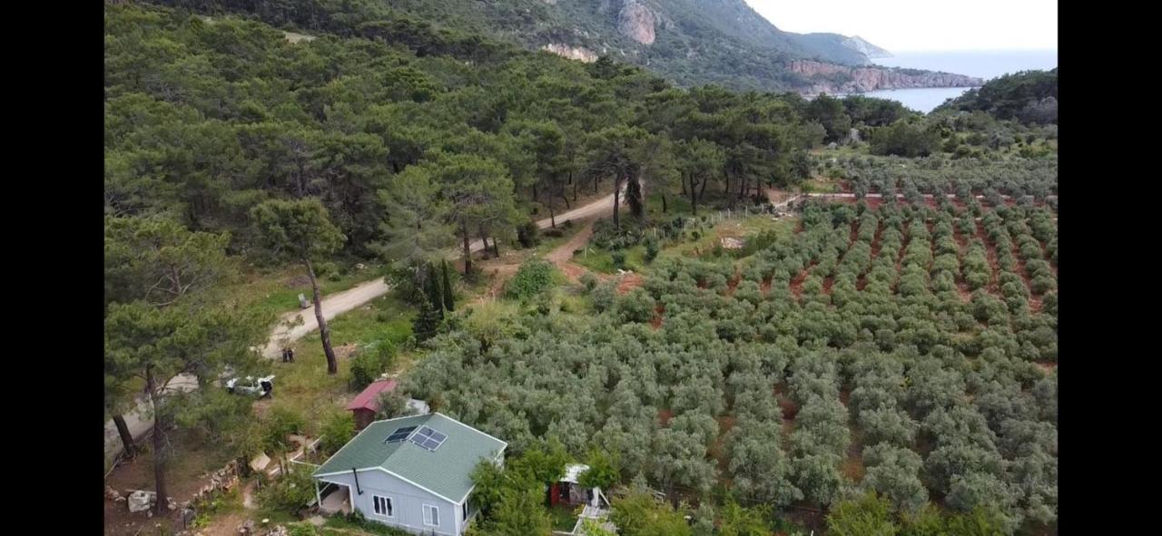 Gelidonia Fenerium Holiday Home Анталия Екстериор снимка