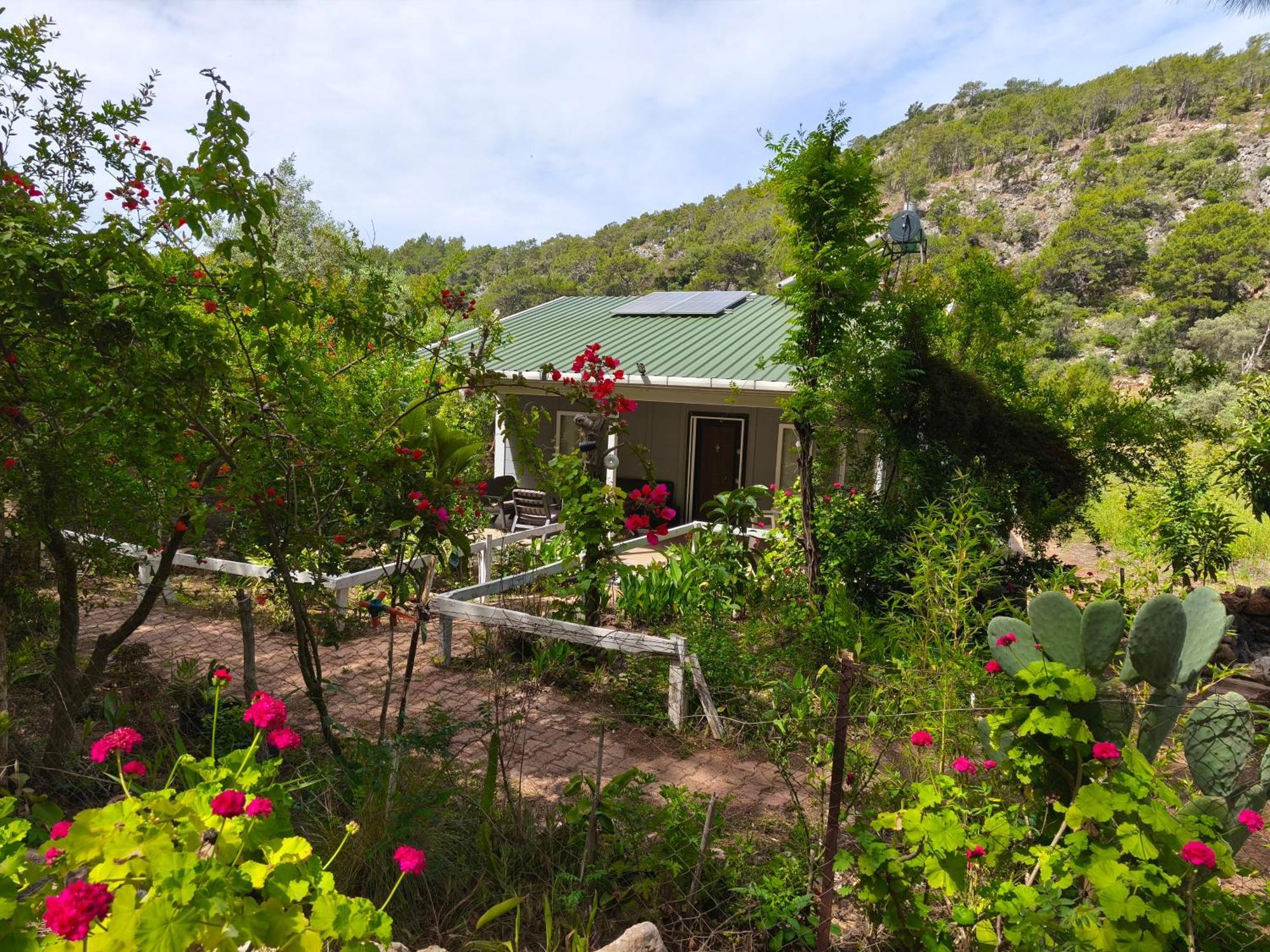 Gelidonia Fenerium Holiday Home Анталия Екстериор снимка